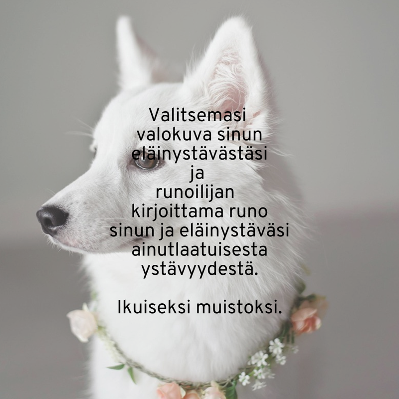 Runokortti Maria Vakkuri
